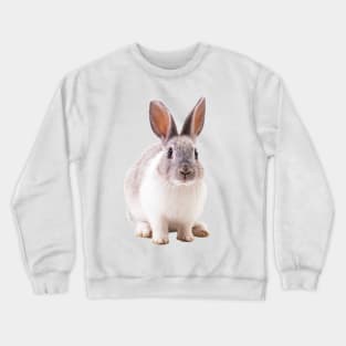 Pet Rabbit Crewneck Sweatshirt